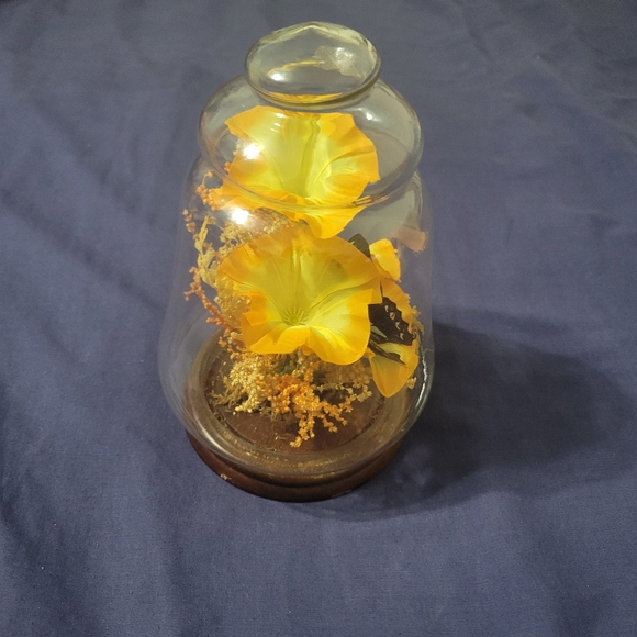 Vintage Preserved Butterfly Taxidermy Terrarium Silk Yellow Flowers - Picture 5 of 6